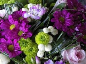 image-articolo-fiori-per-ogni-stagione